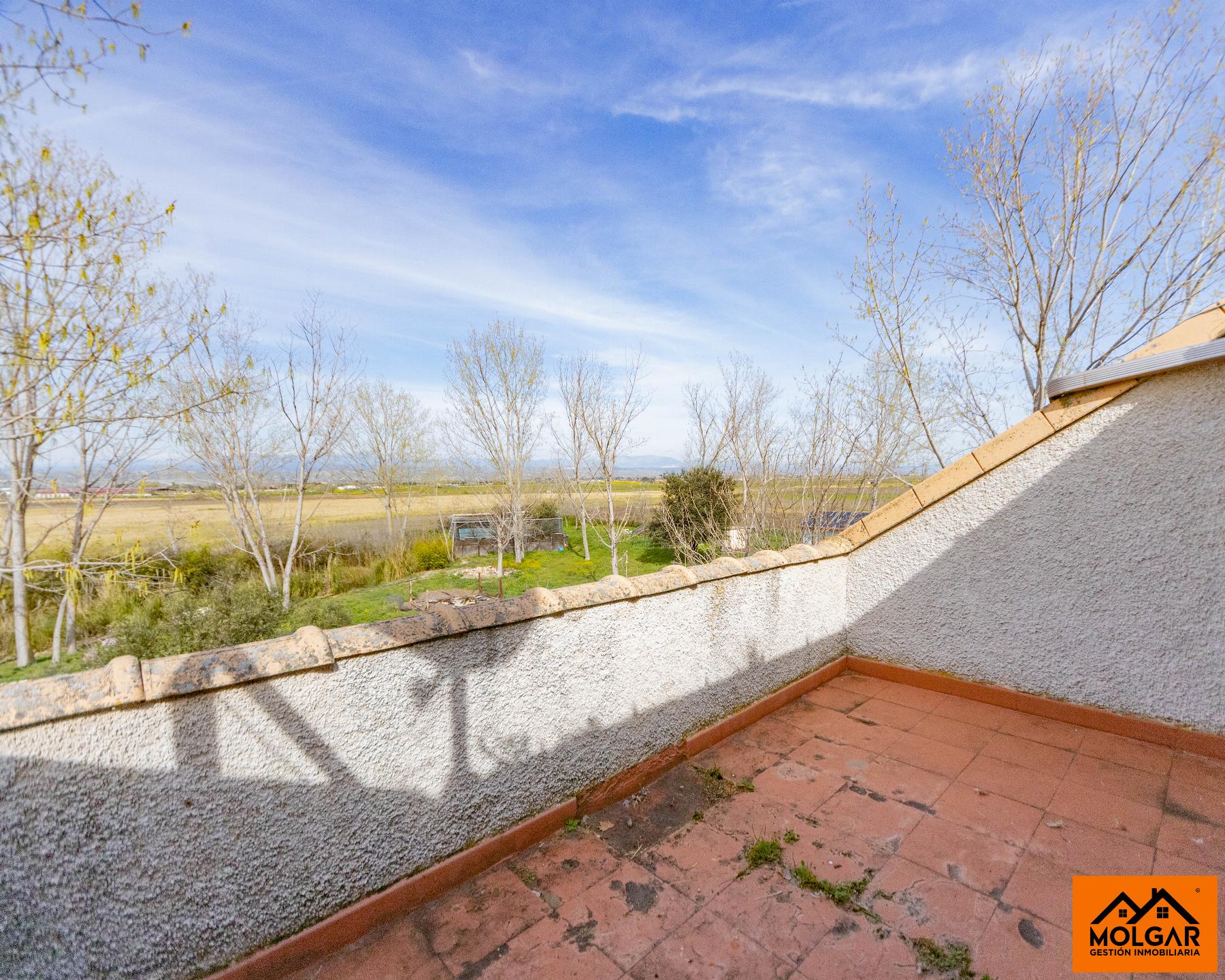 Terraza