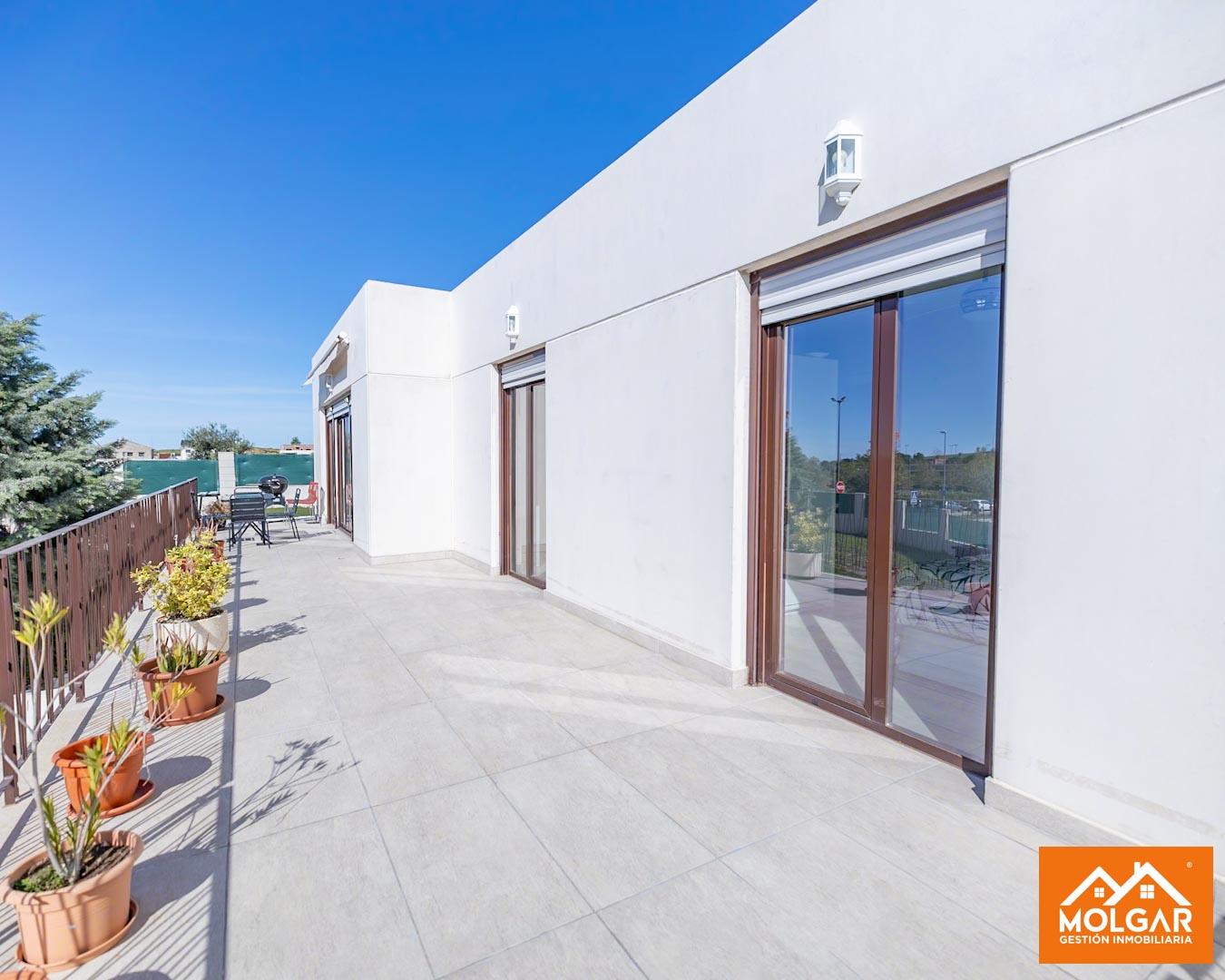 Terraza