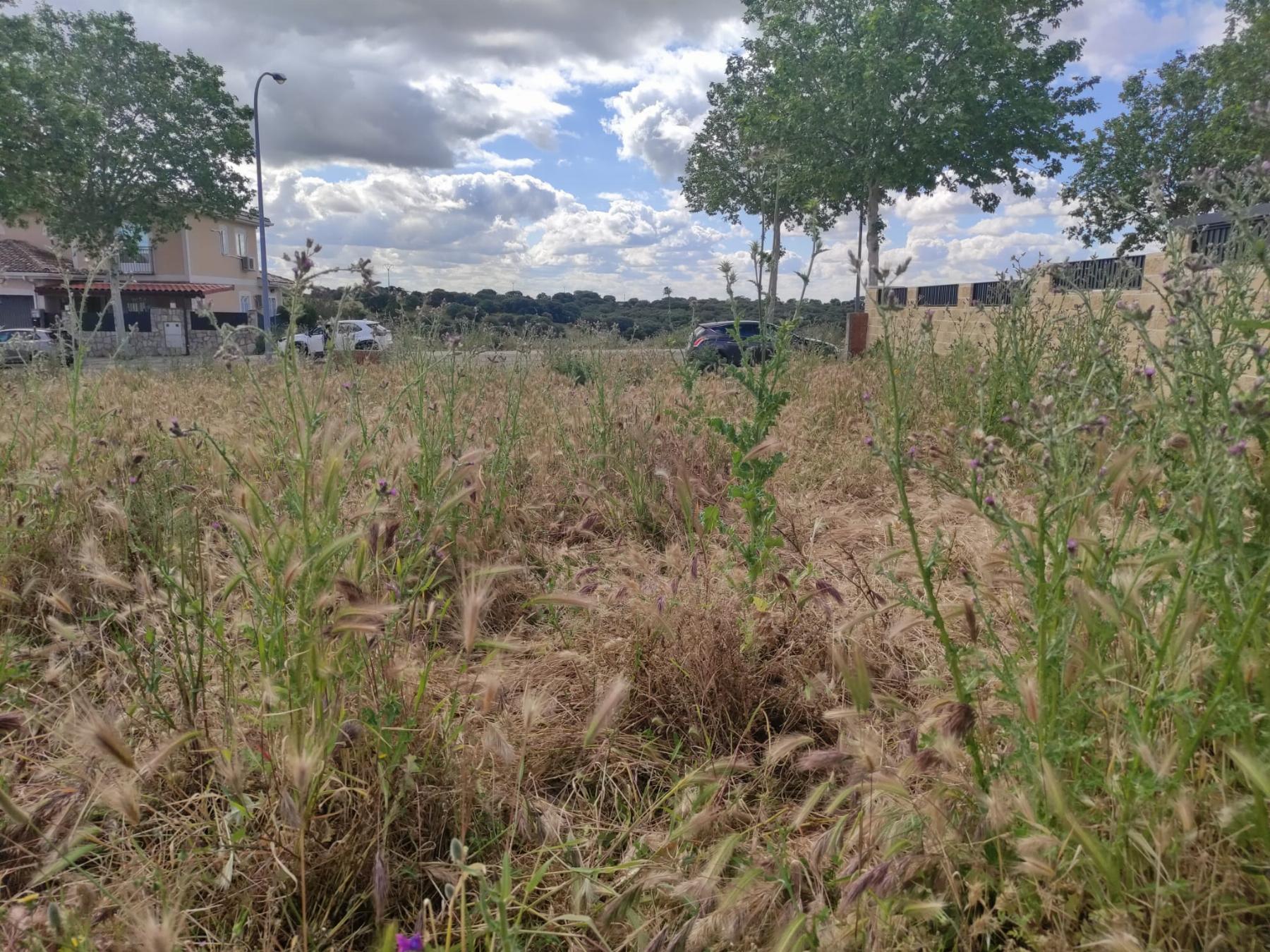 Venta de terreno en El Casar