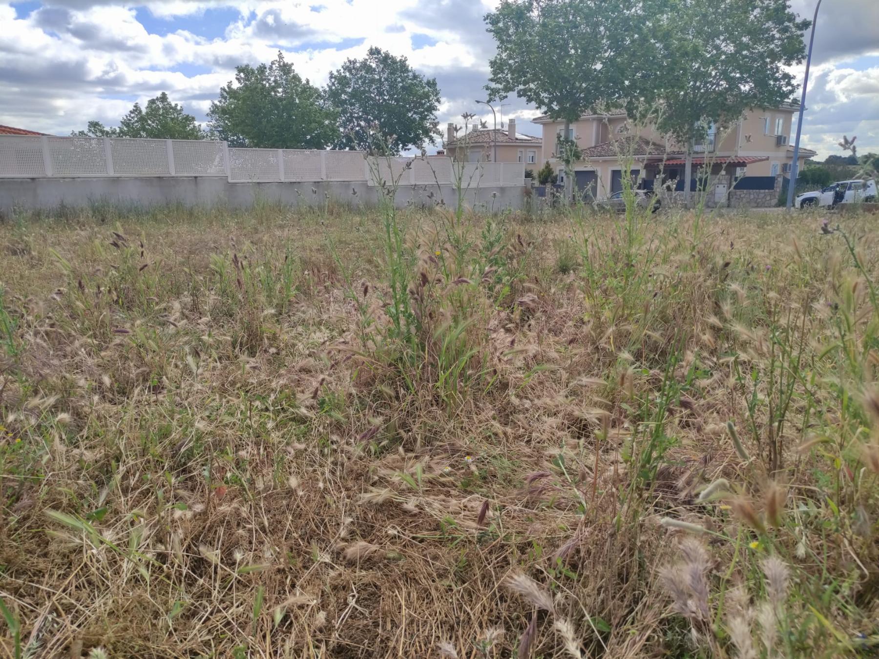 Venta de terreno en El Casar