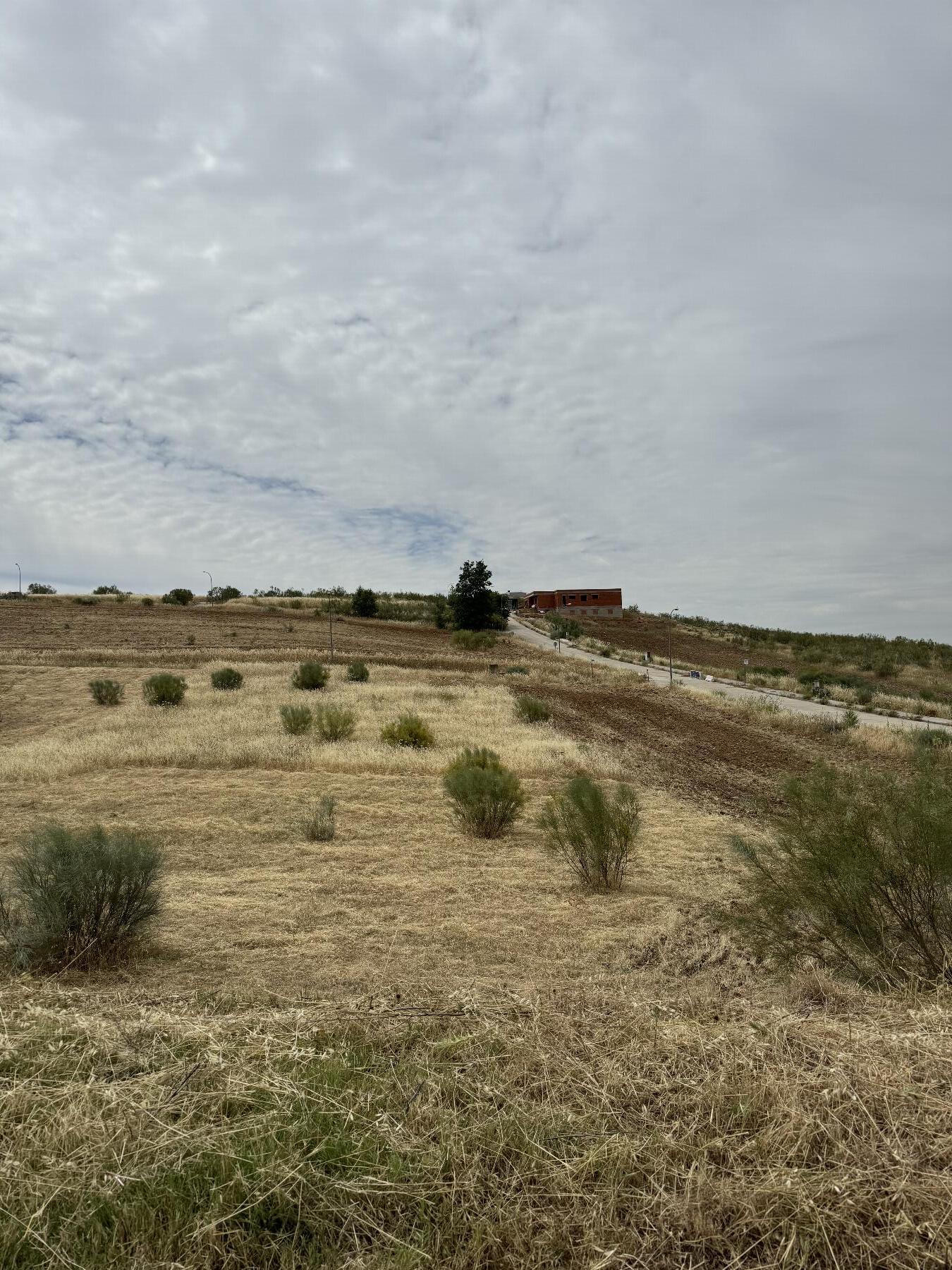 Terreno