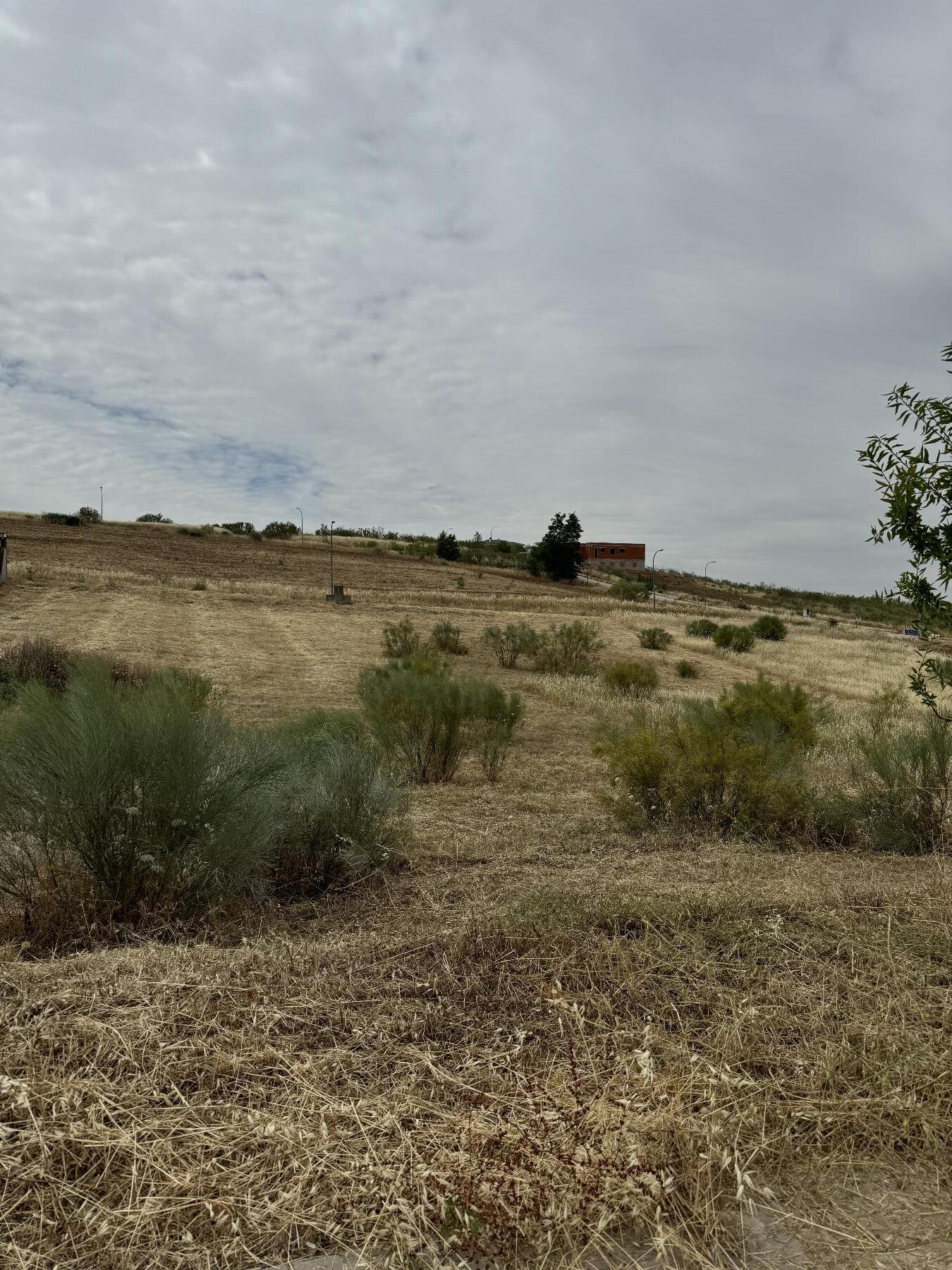 Terreno