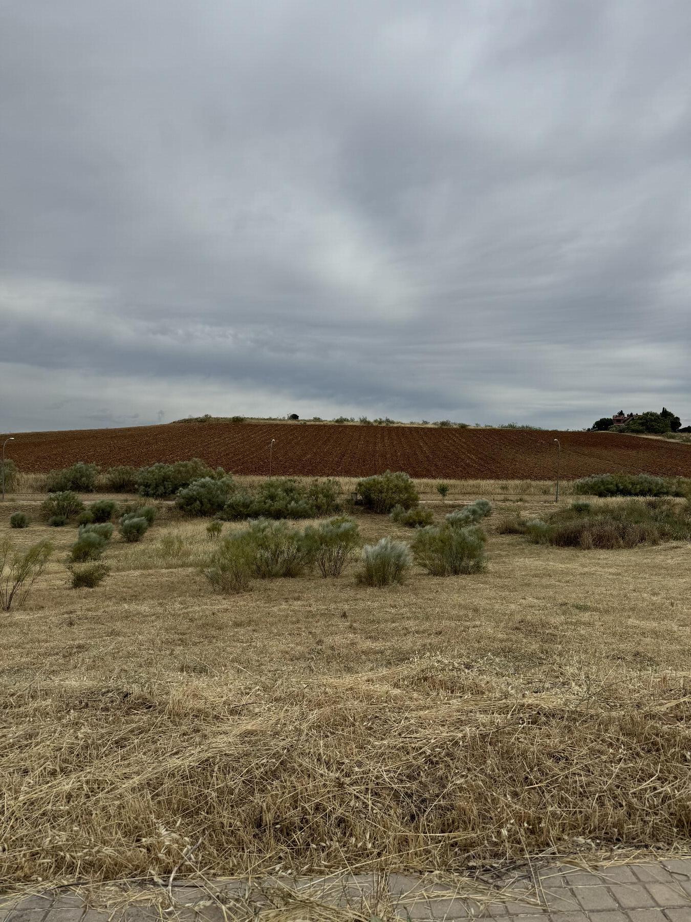 Terreno
