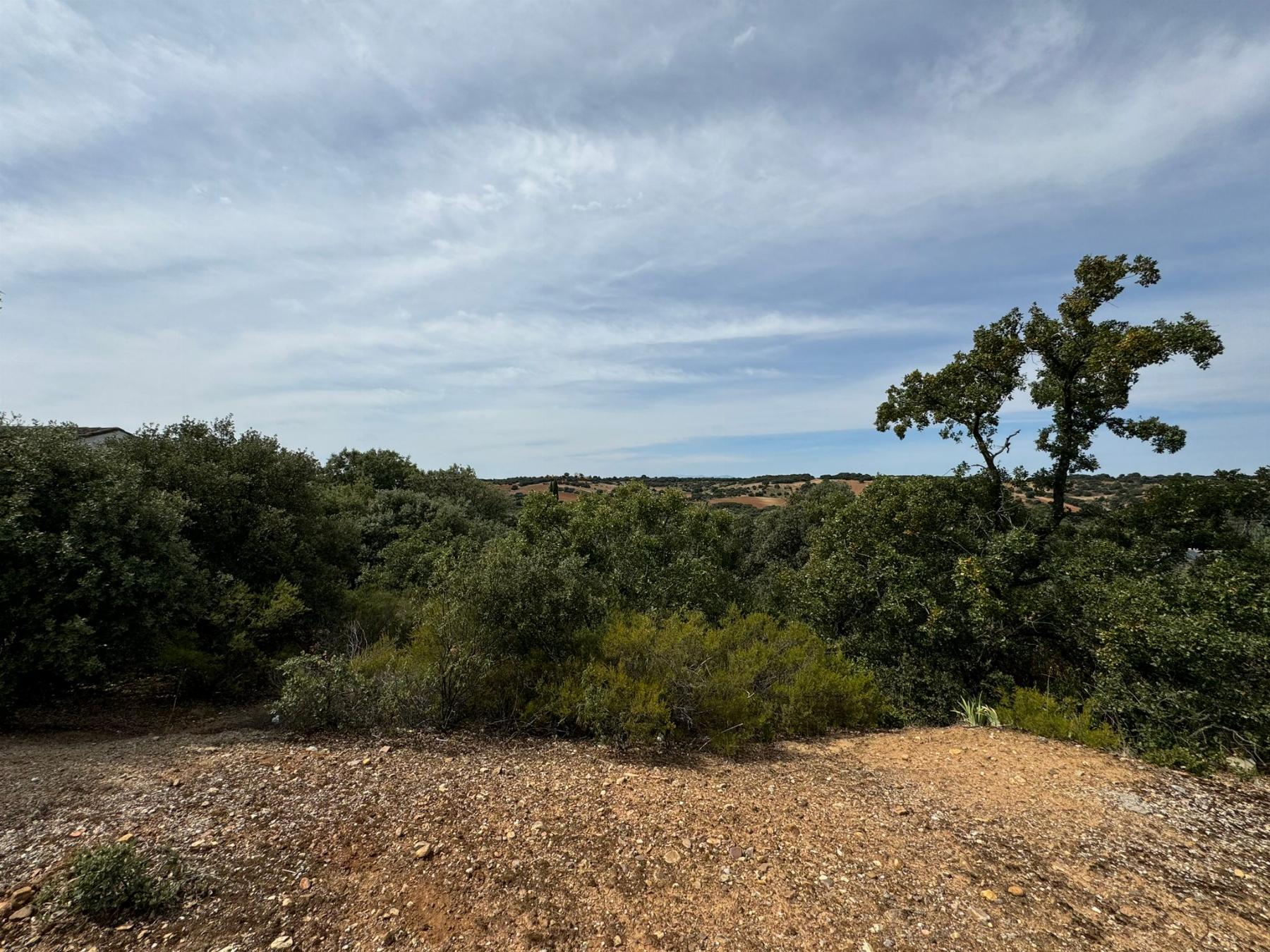 Terreno