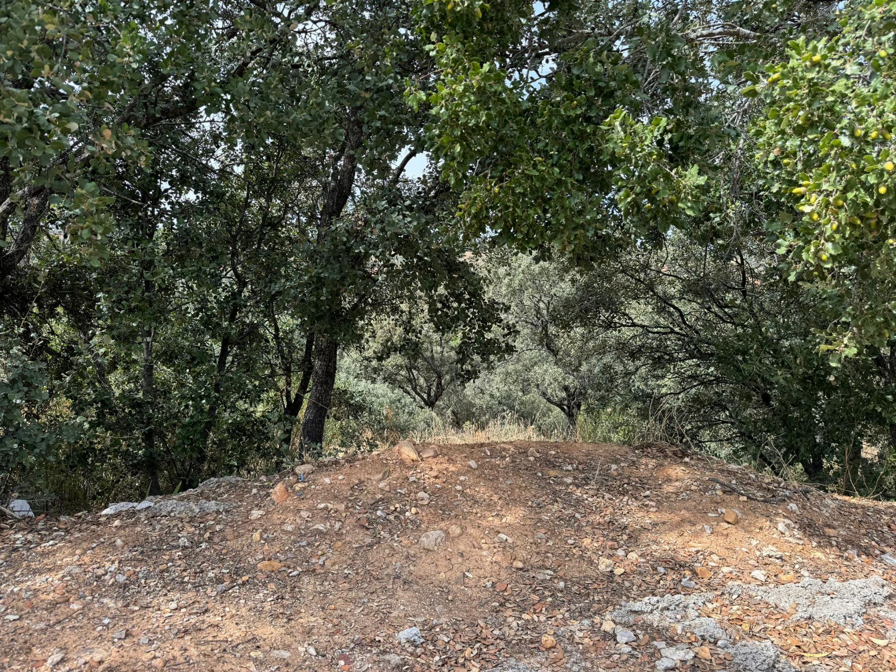 Terreno