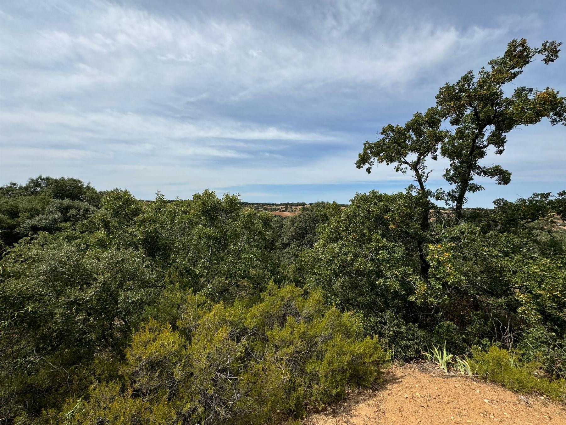 Vistas