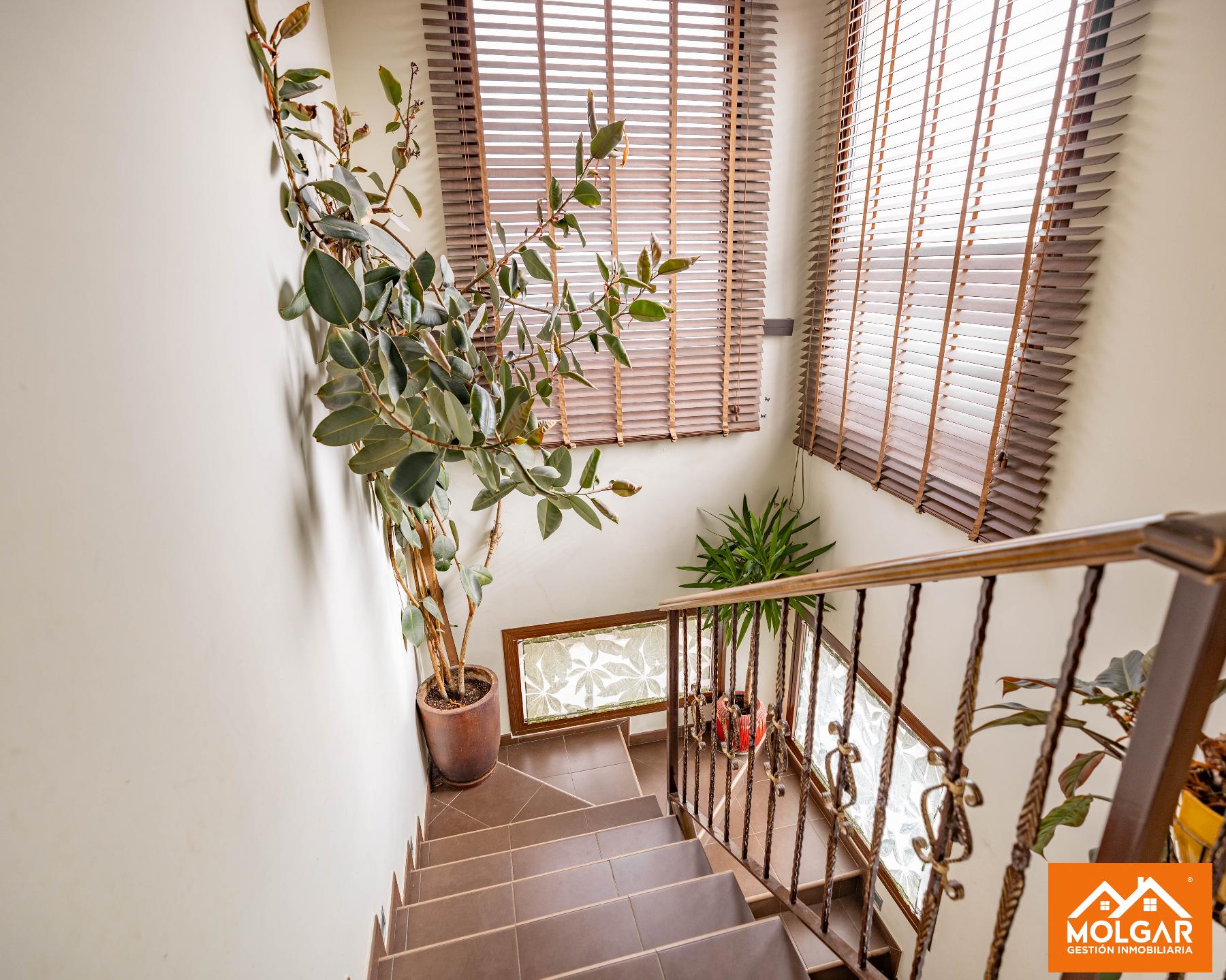 Escalera
