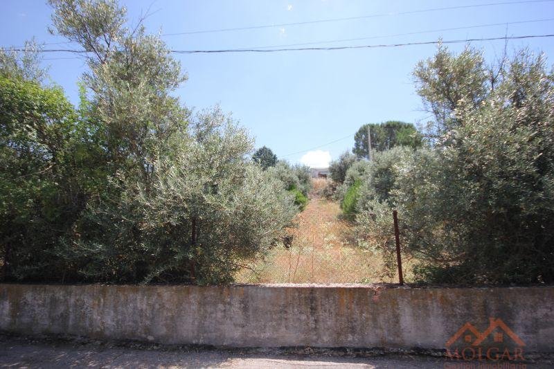 Venta de terreno en Ribatejada