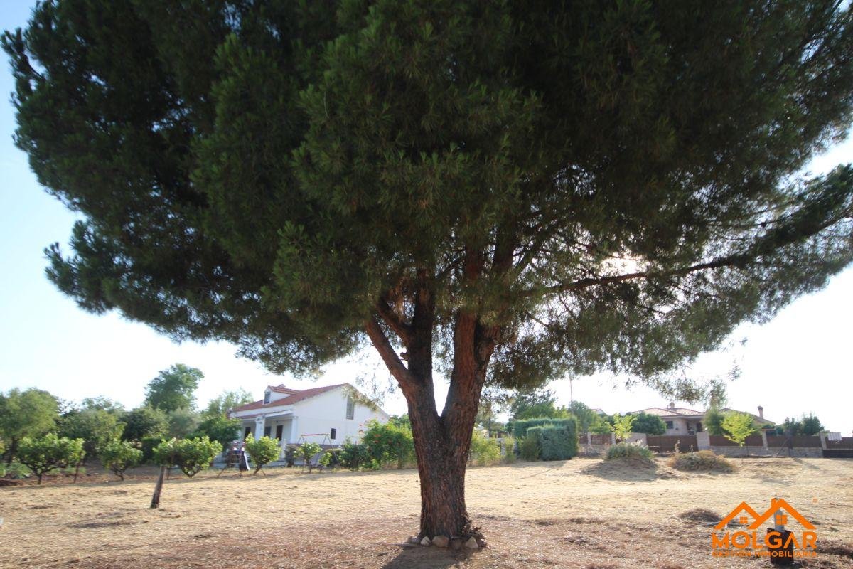 Venta de terreno en Ribatejada