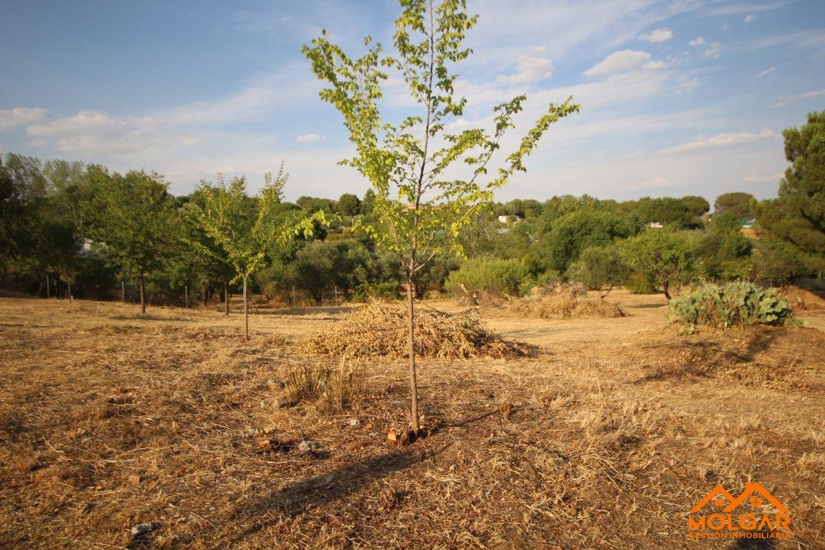 Venta de terreno en Ribatejada