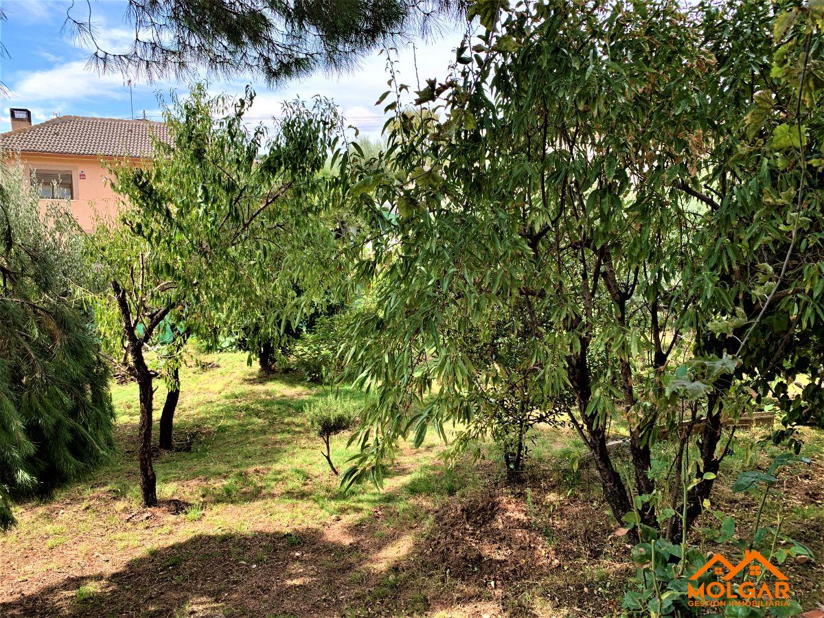 Jardín