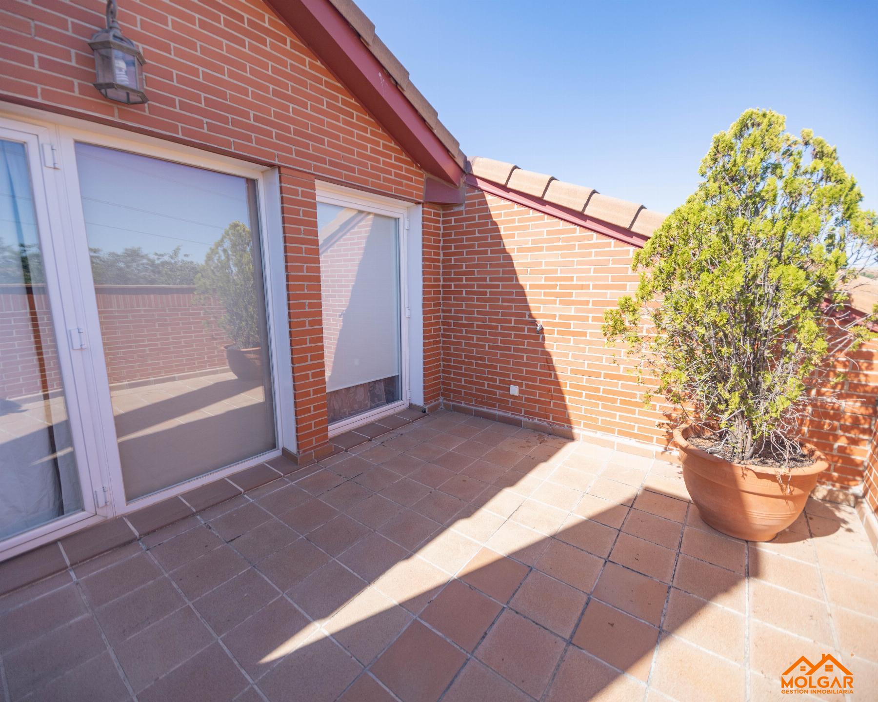 Terraza