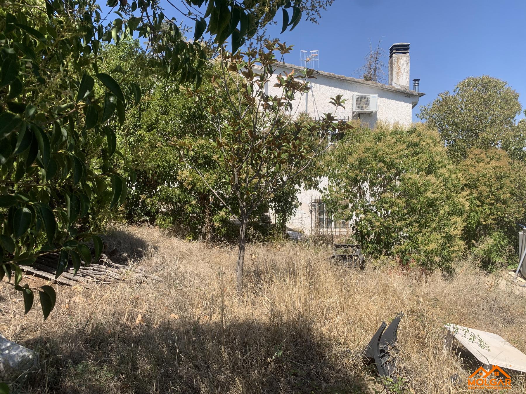 Terreno
