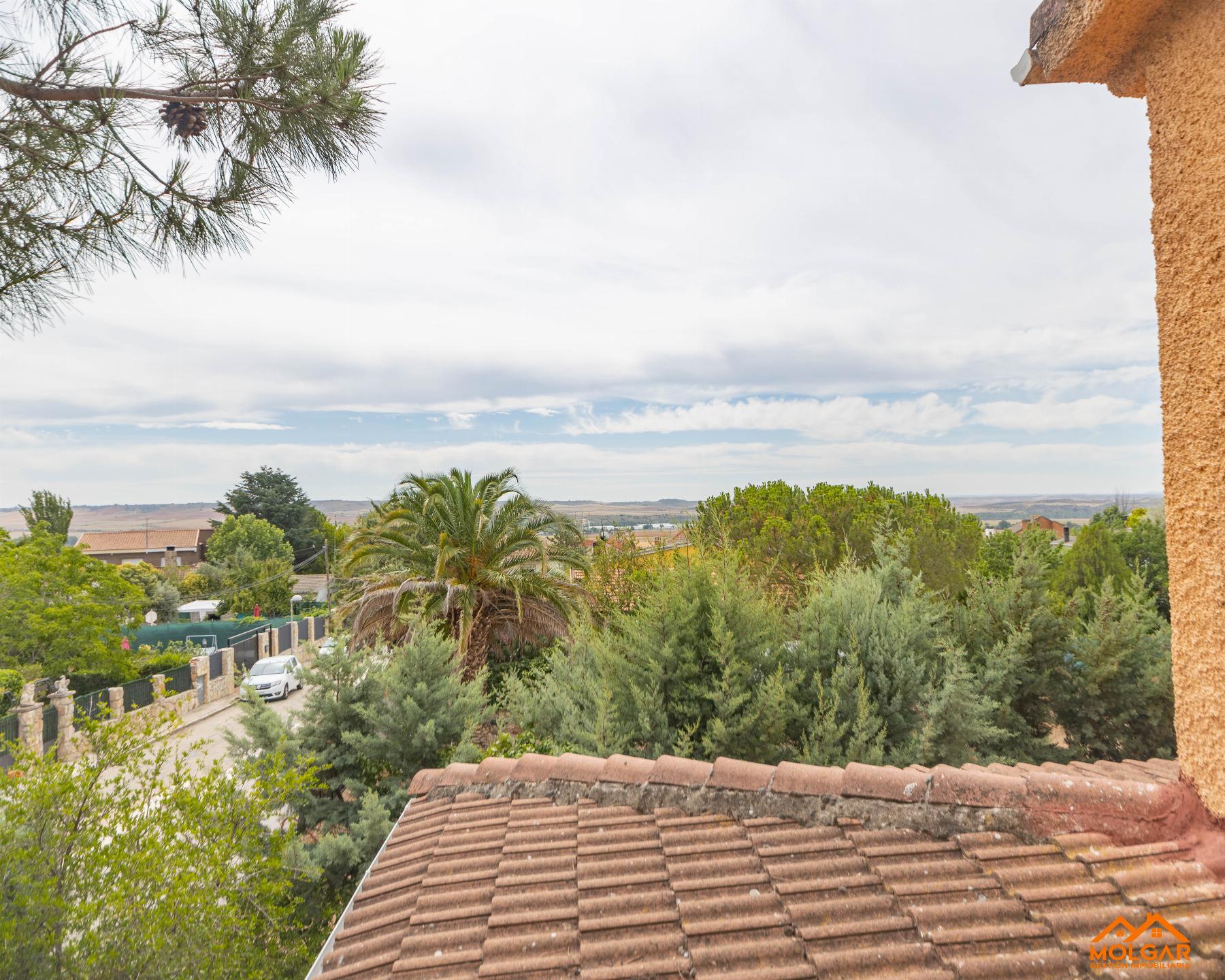 Vistas