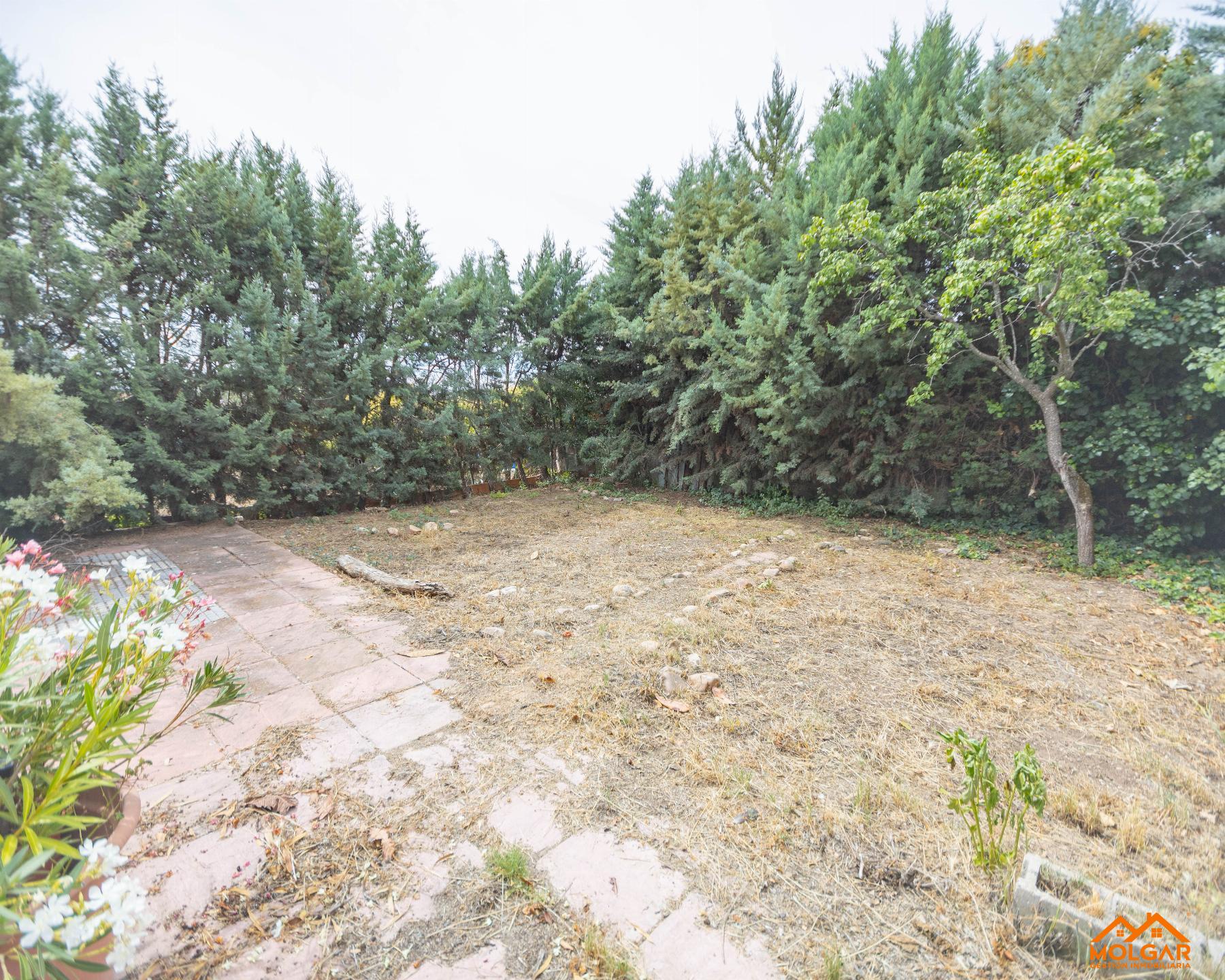 Terreno