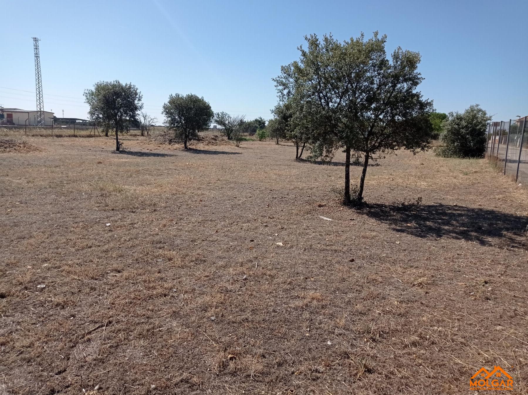 Venta de terreno en El Casar