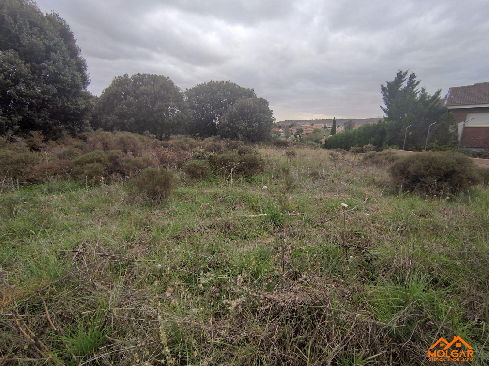 Venta de terreno en Galápagos