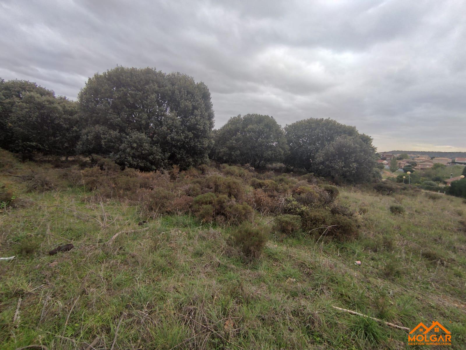 Venta de terreno en Galápagos