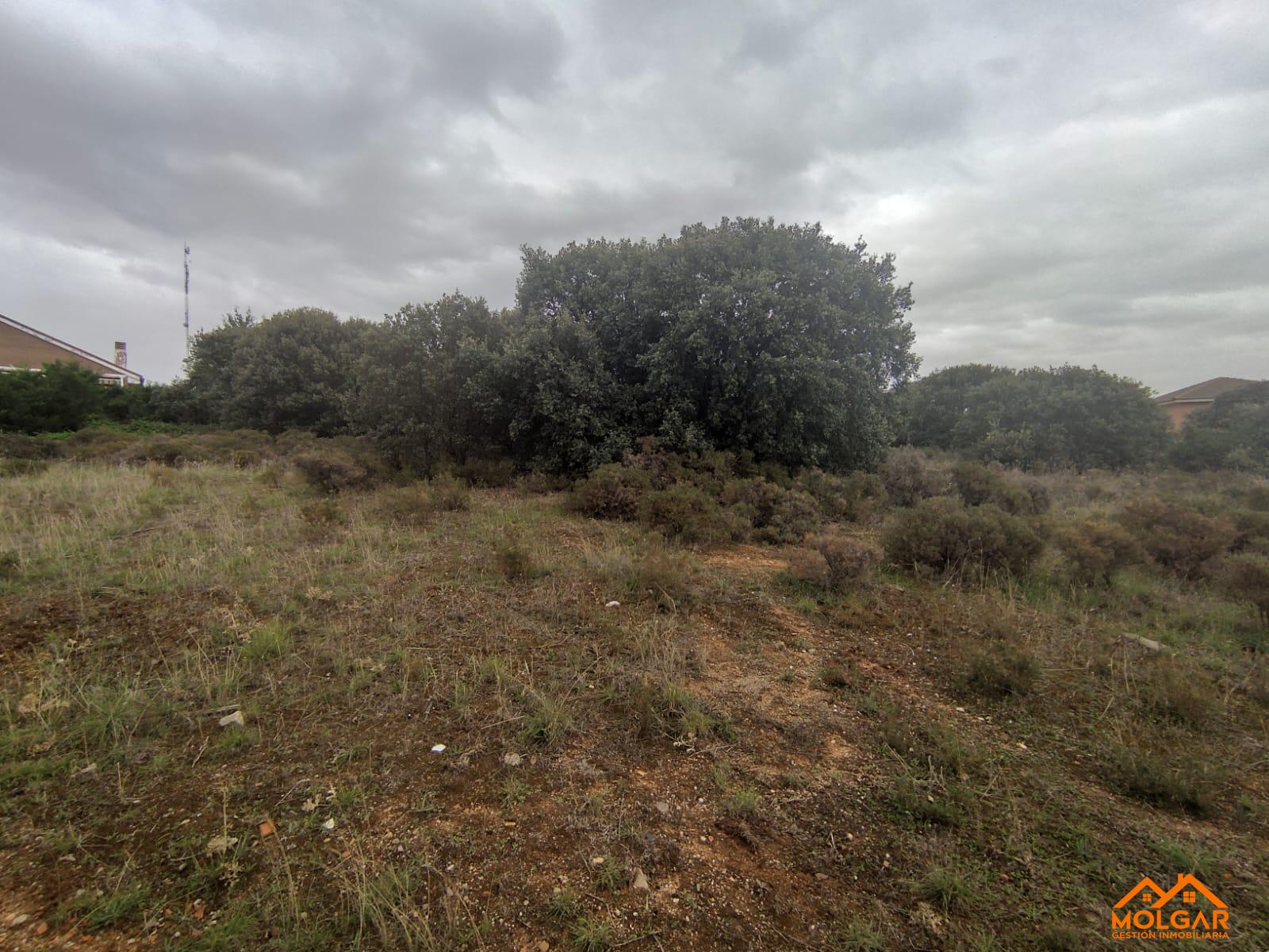 Venta de terreno en Galápagos