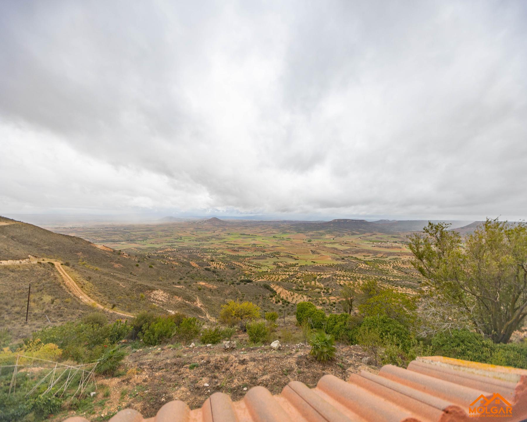 Vistas