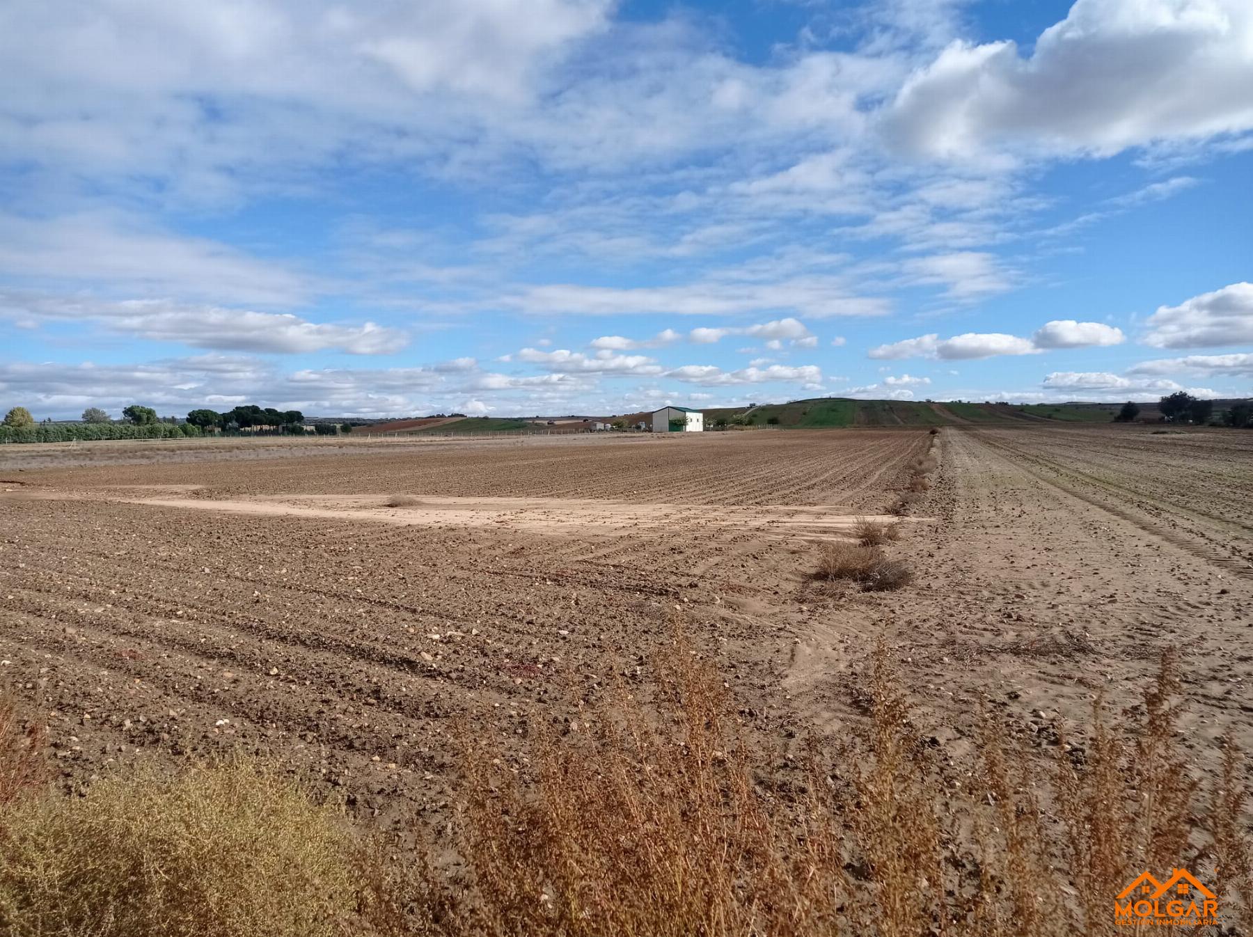 Venta de terreno en Fuente el Saz de Jarama