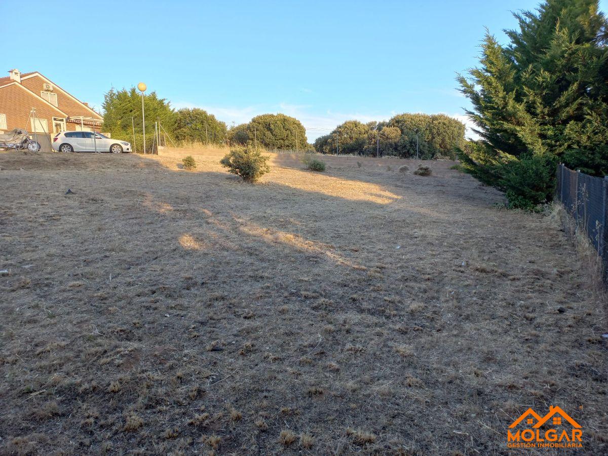 Venta de terreno en Galápagos