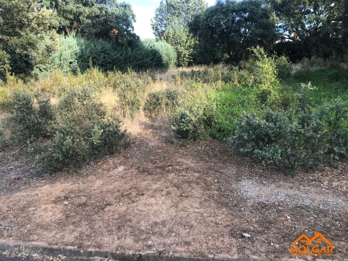 Venta de terreno en Valdeaveruelo