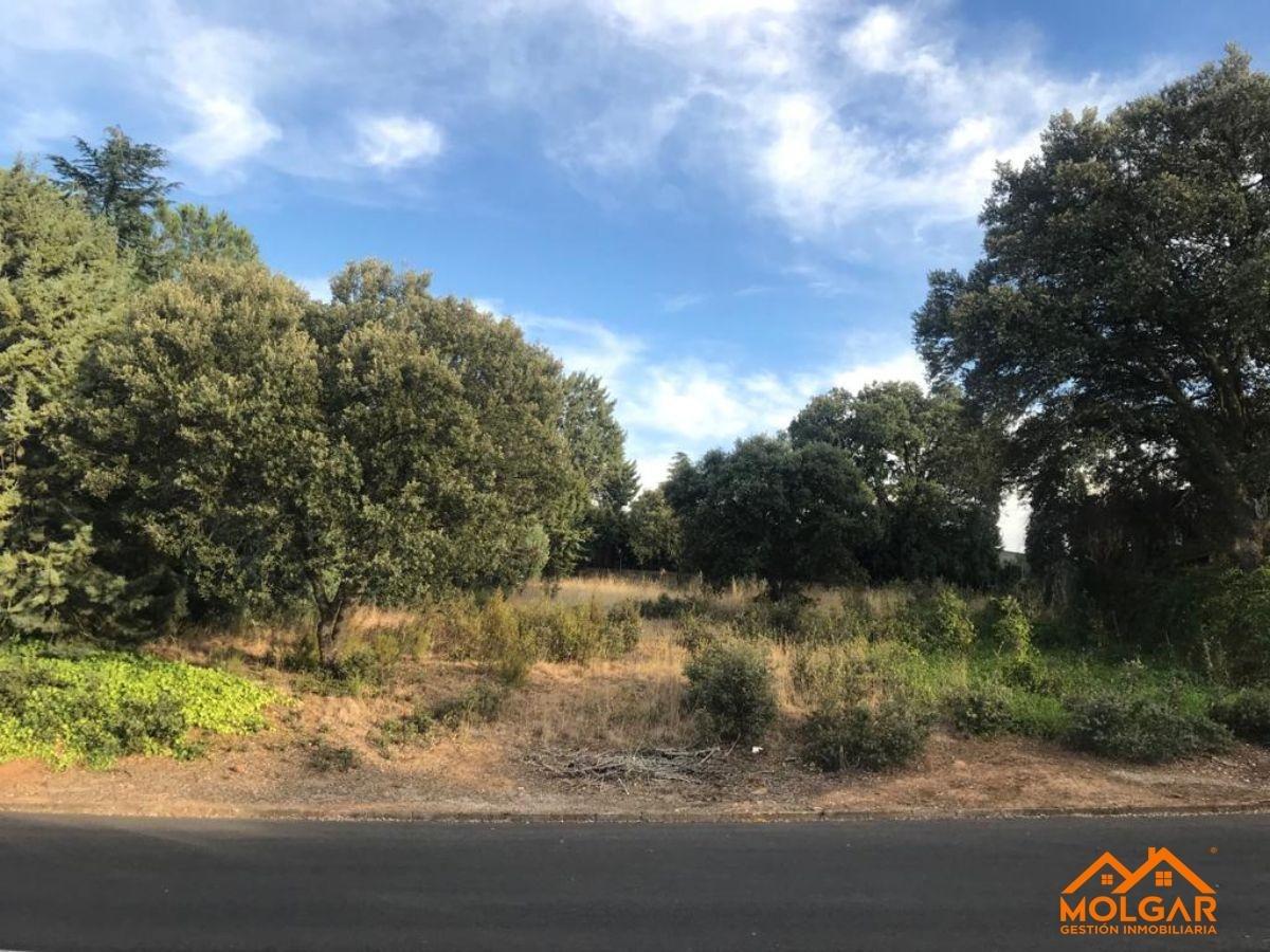 Venta de terreno en Valdeaveruelo