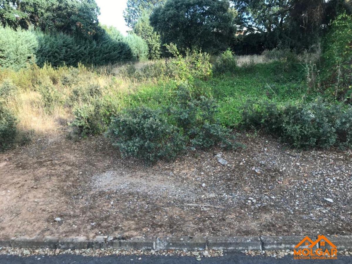 Venta de terreno en Valdeaveruelo