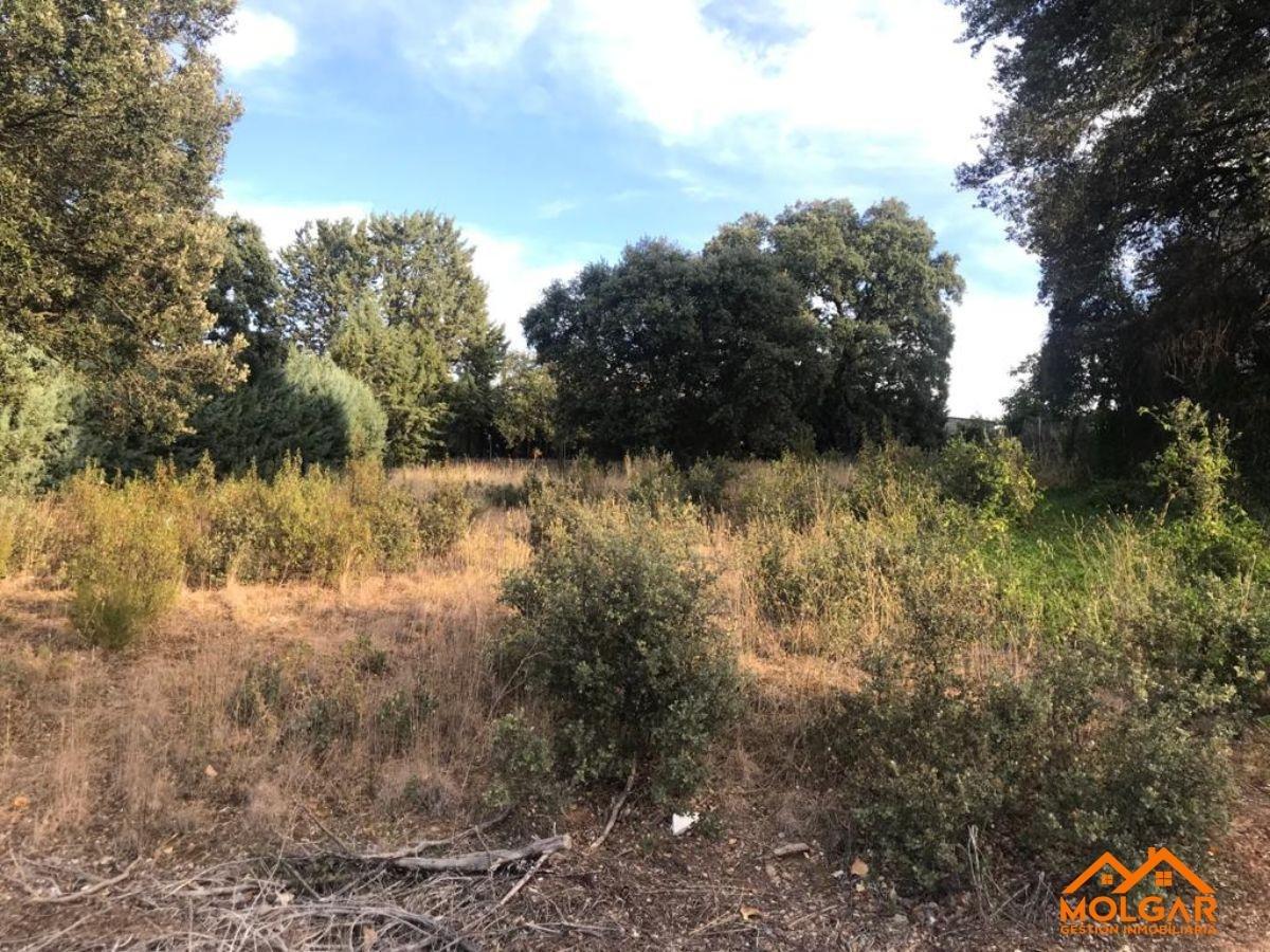 Venta de terreno en Valdeaveruelo