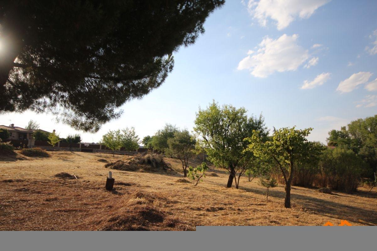 Venta de terreno en Ribatejada