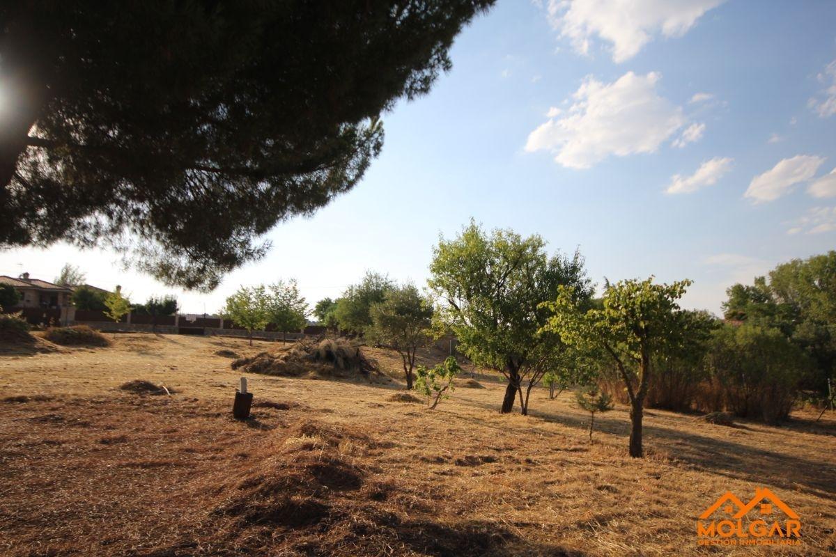 Venta de terreno en Ribatejada