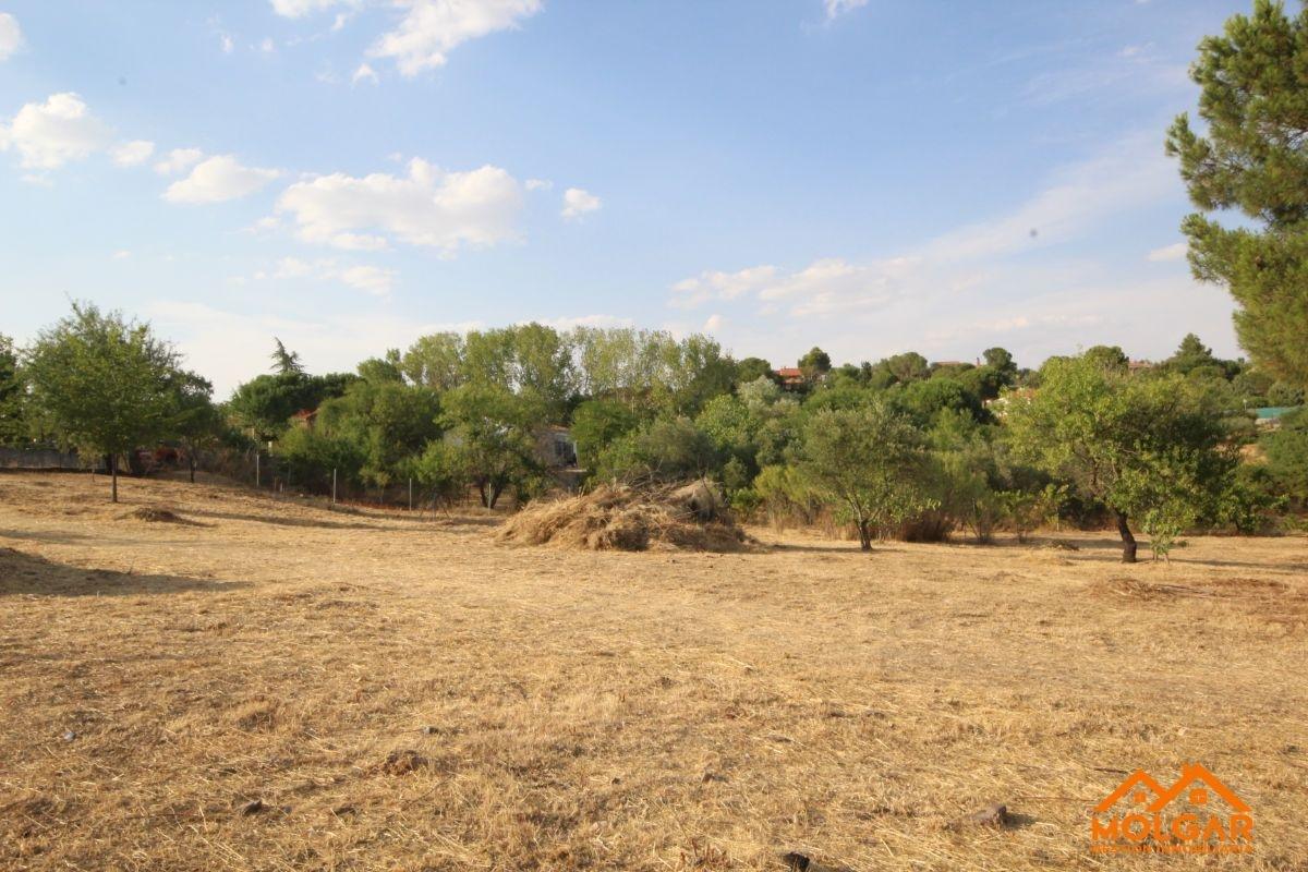 Venta de terreno en Ribatejada