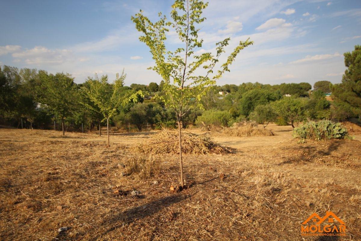 Venta de terreno en Ribatejada