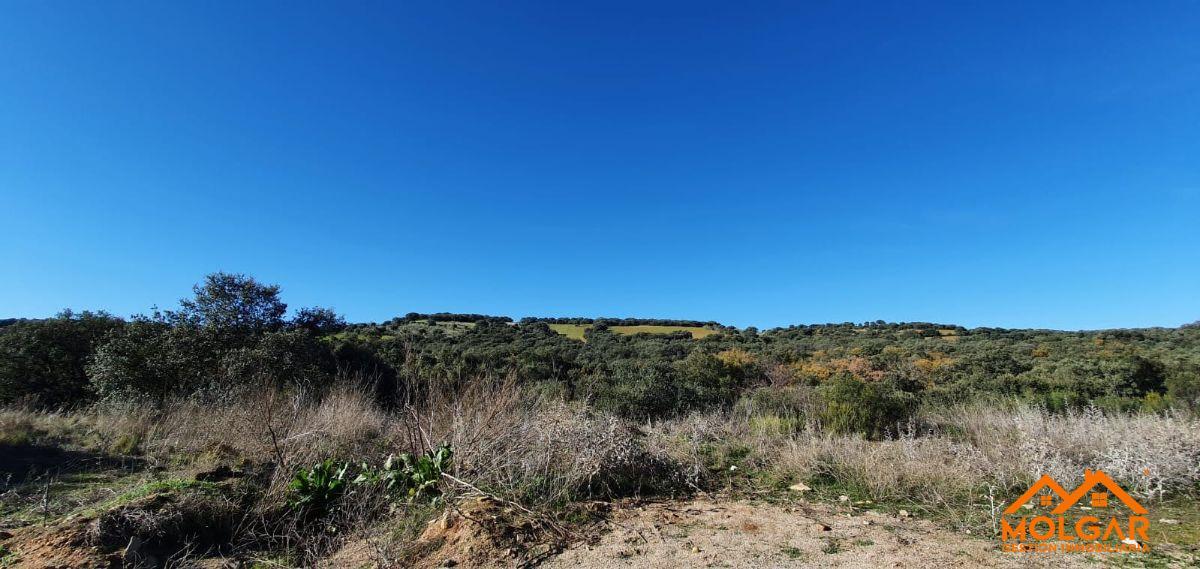 Venta de terreno en Valdeaveruelo