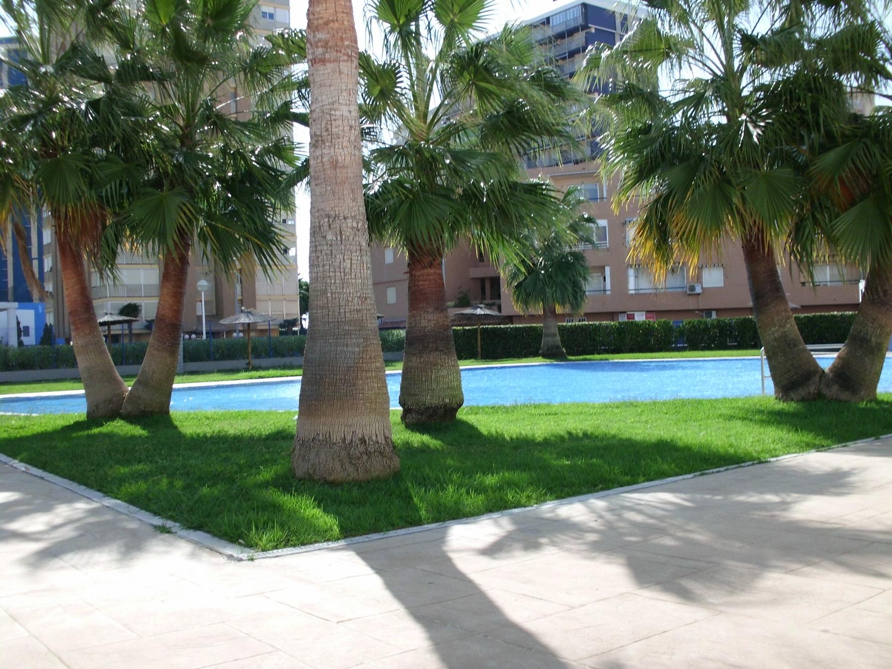 Jardín
