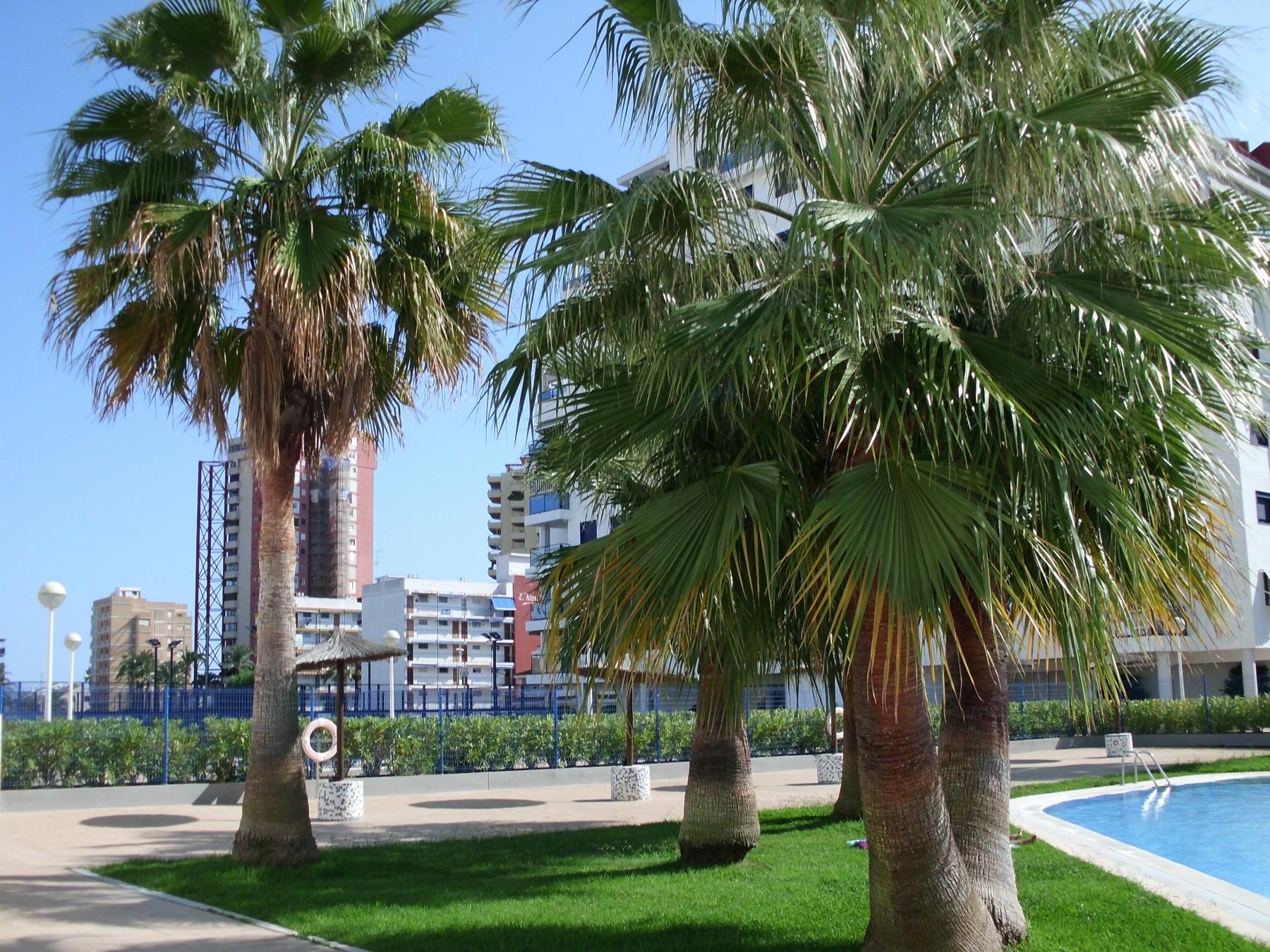 Jardín