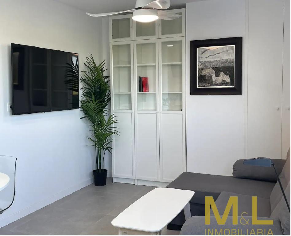 Alquiler de apartamento en Puig