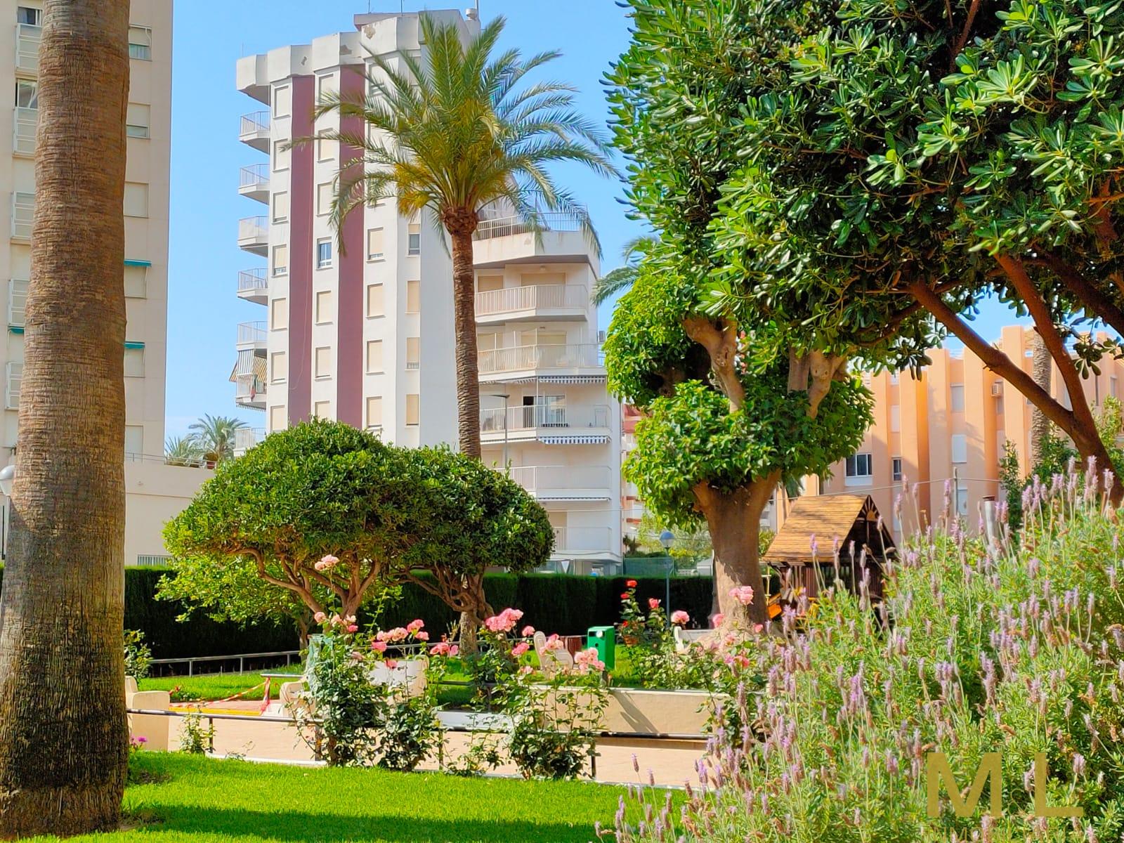 For rent of apartment in Puebla de Farnáls
