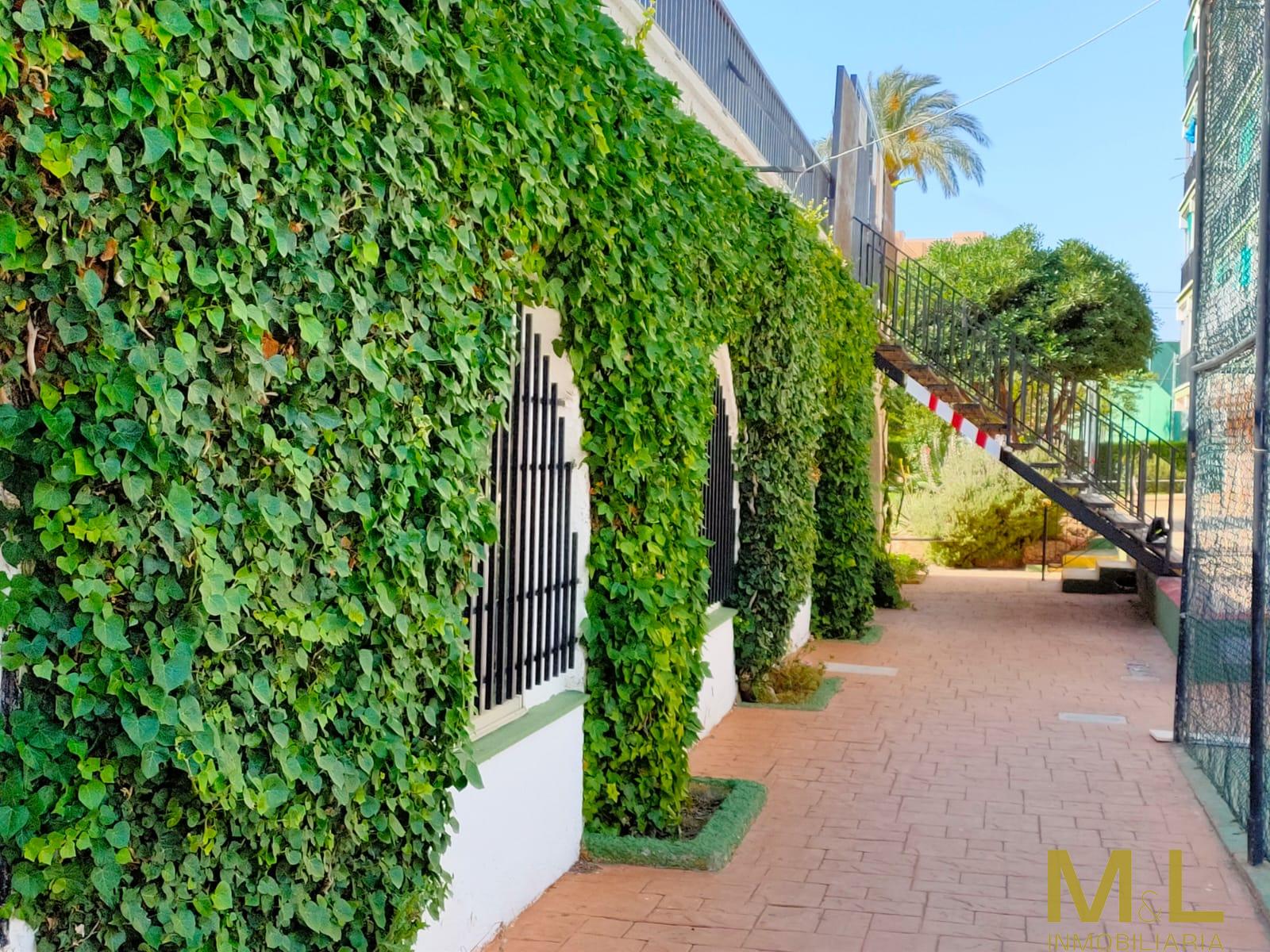 For rent of apartment in Puebla de Farnáls