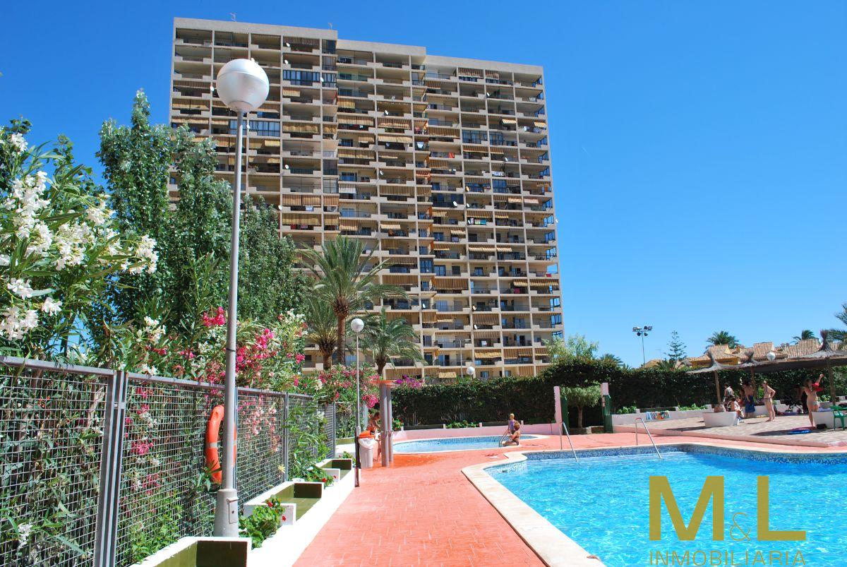 For rent of apartment in Puig