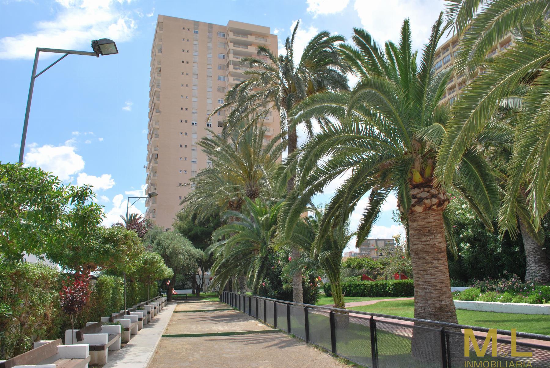 Surroundings