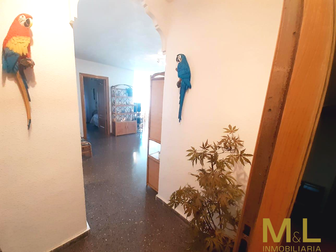 Entry/Exit