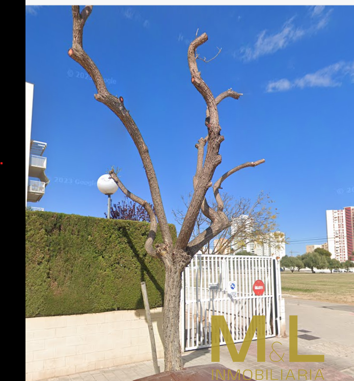 Alquiler de garaje en La Pobla de Farnals