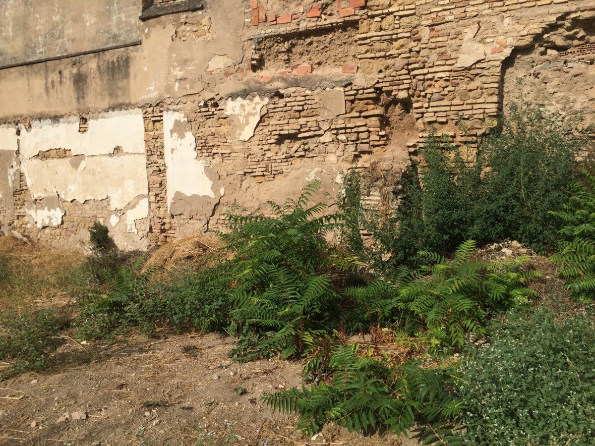 For sale of land in Córdoba