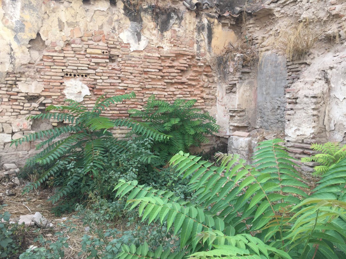 For sale of land in Córdoba