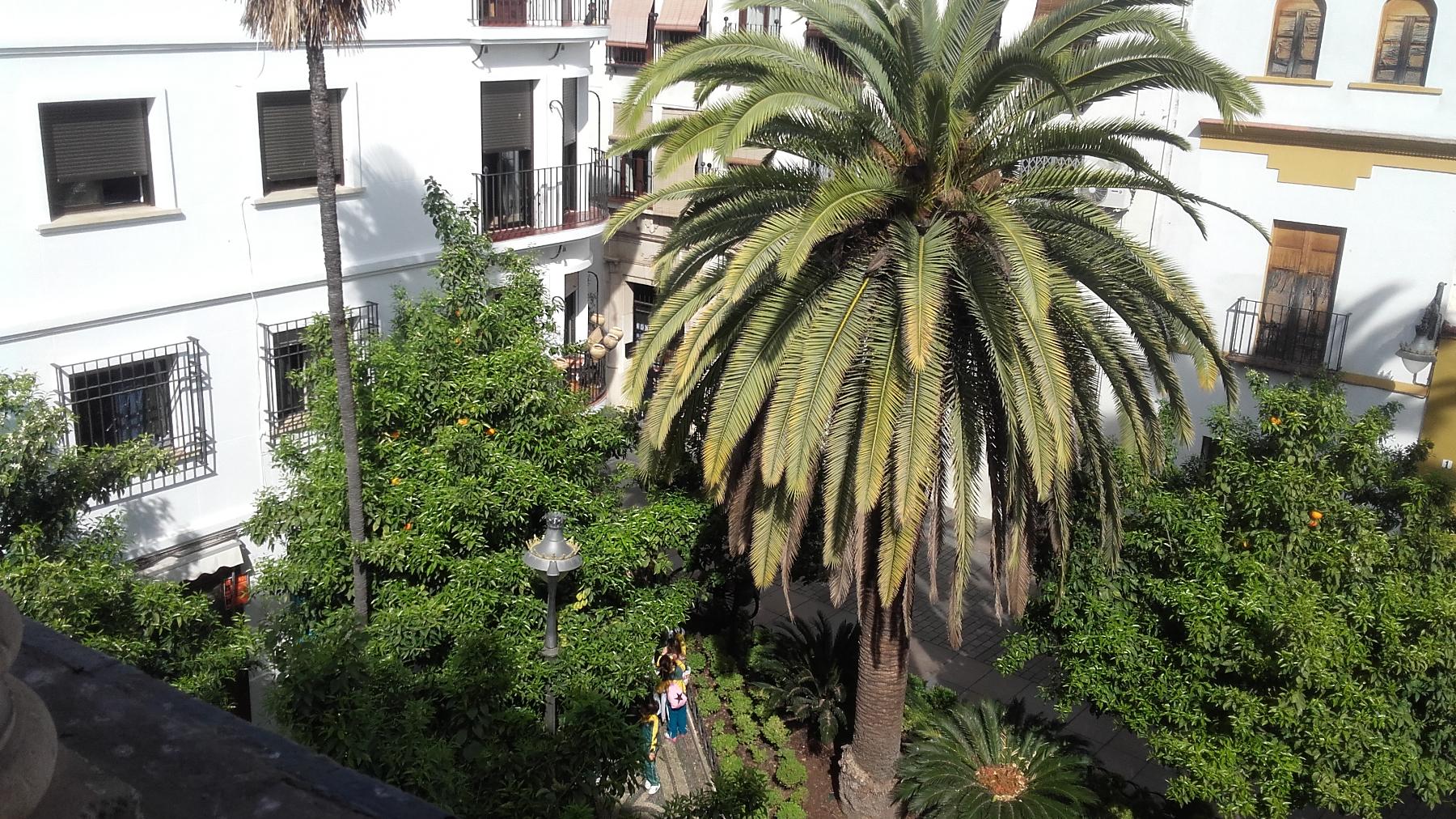 For sale of house in Córdoba