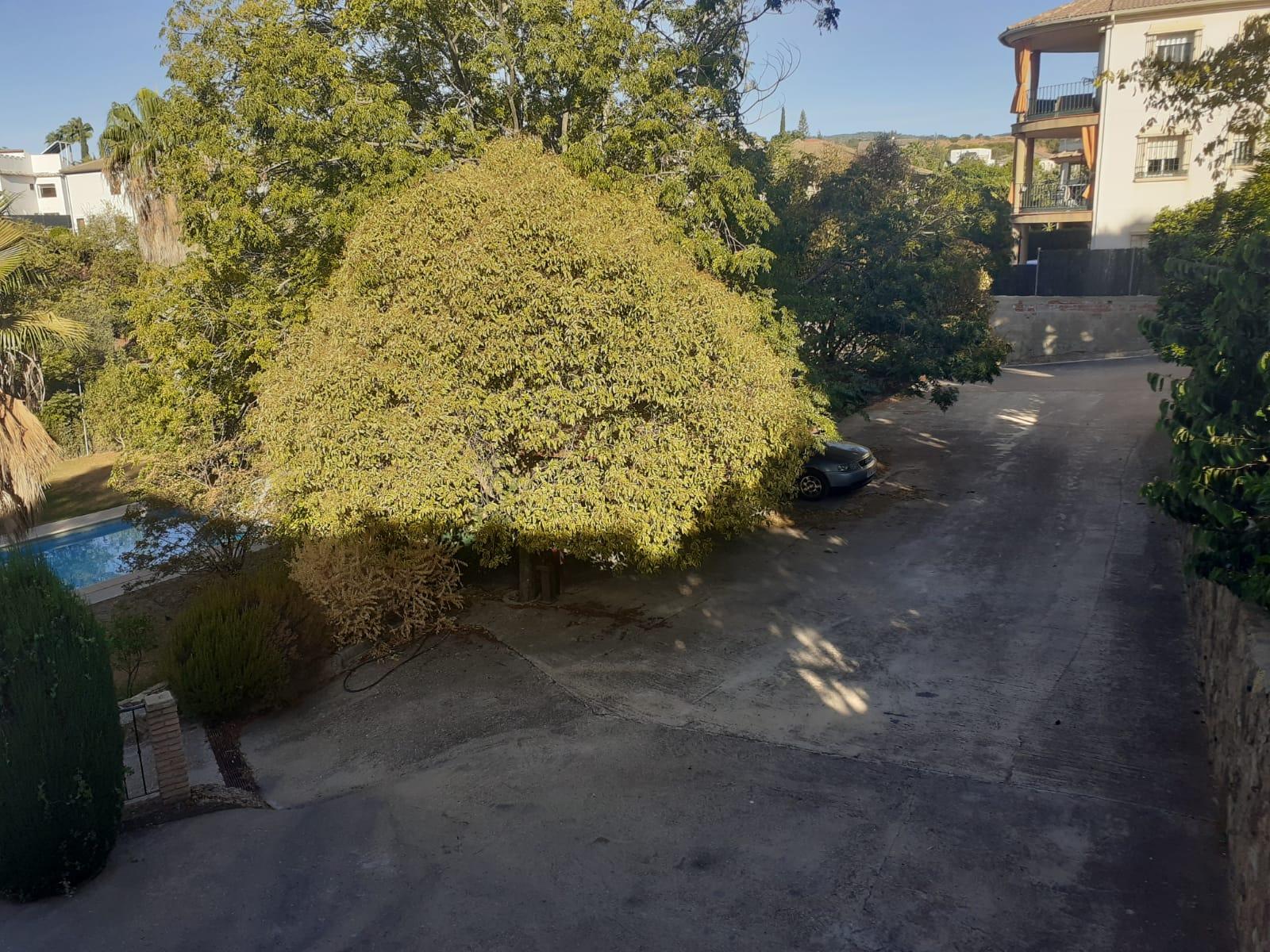 For sale of rural property in Córdoba
