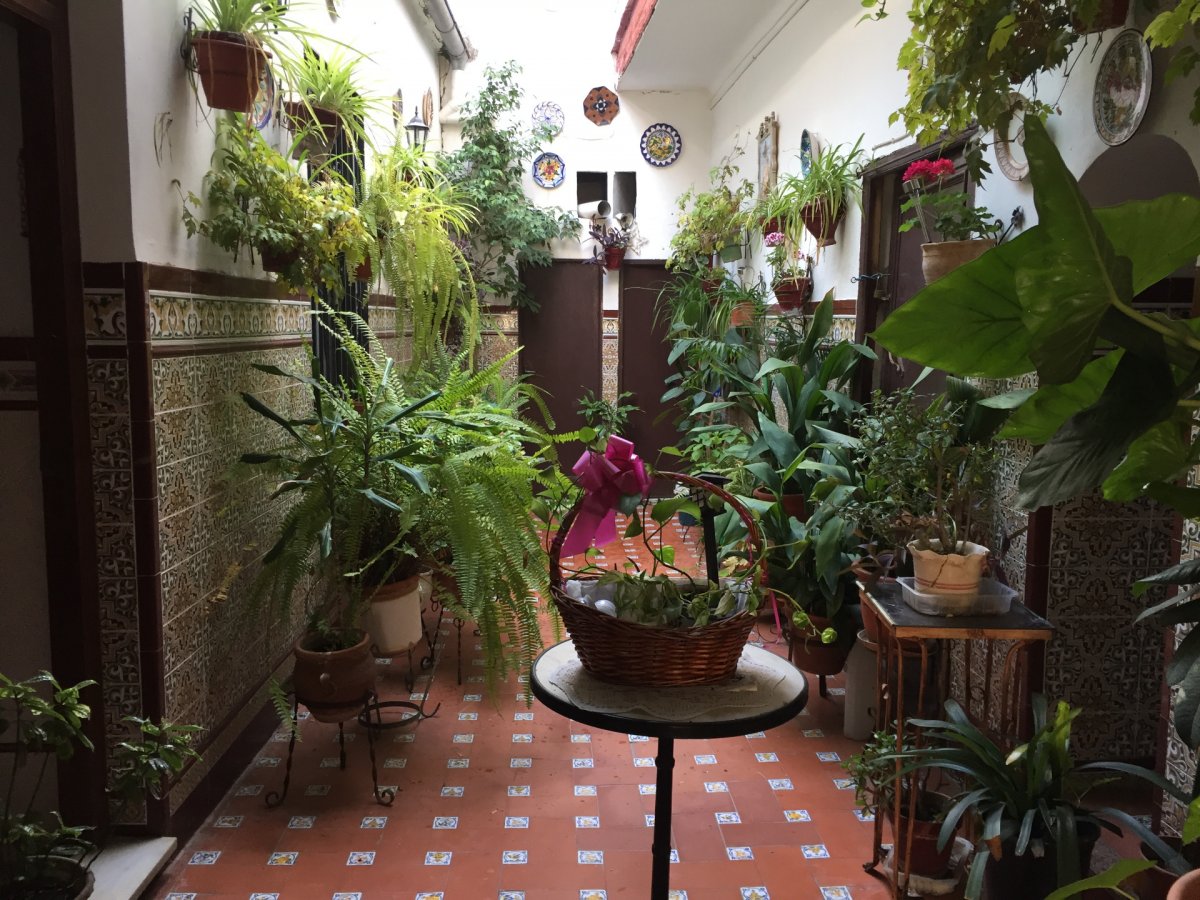For sale of house in Córdoba