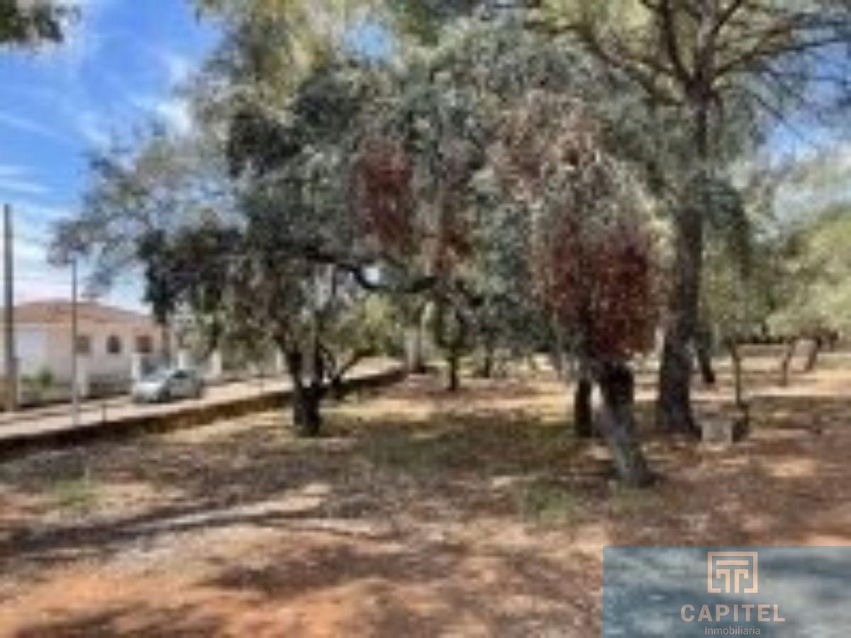 For sale of land in Córdoba